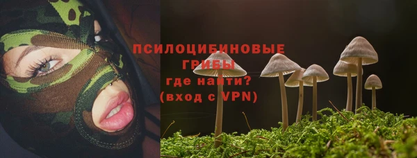 стафф Алексин