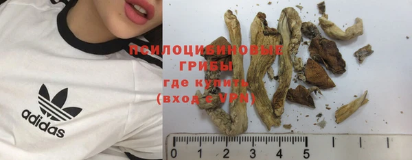 стафф Алексин