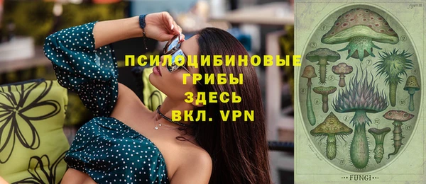 стафф Алексин