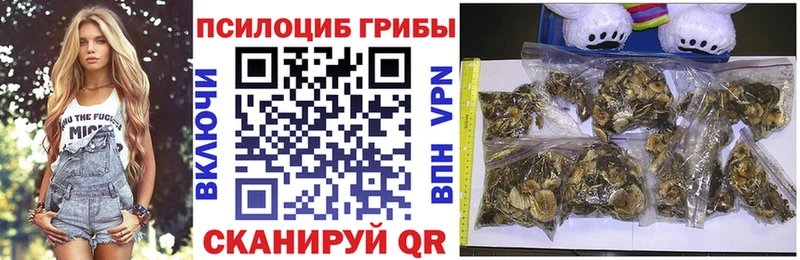 Галлюциногенные грибы мухоморы  Елец 